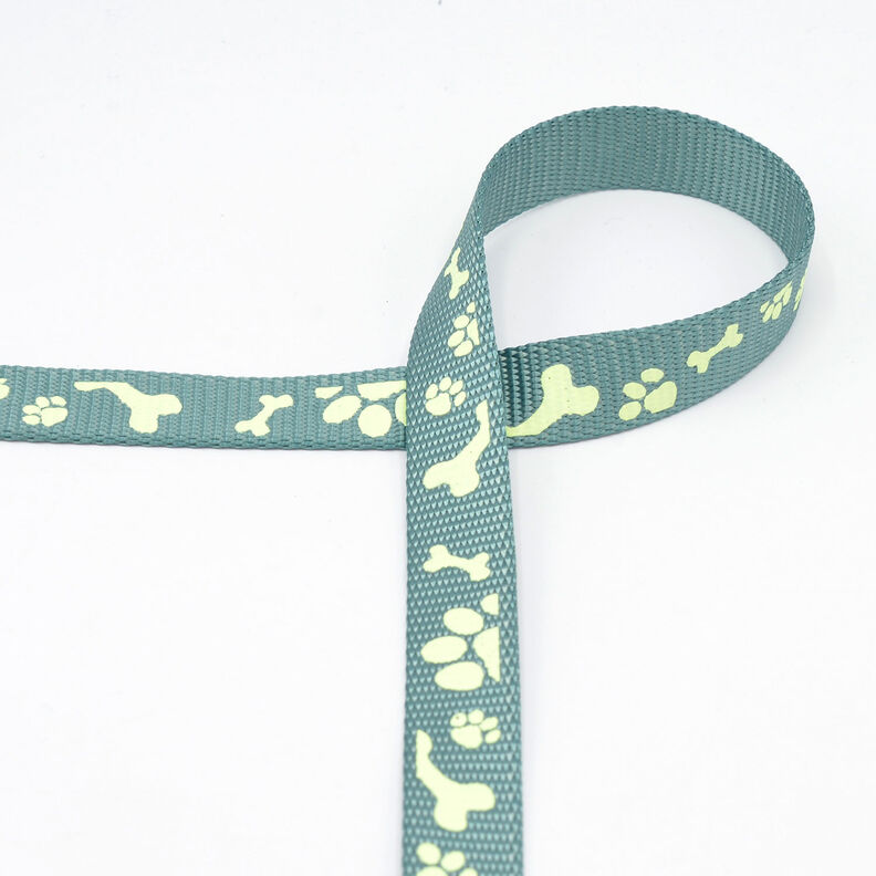 Ruban réfléchissant Laisse pour chien [20 mm] – sauge,  image number 2