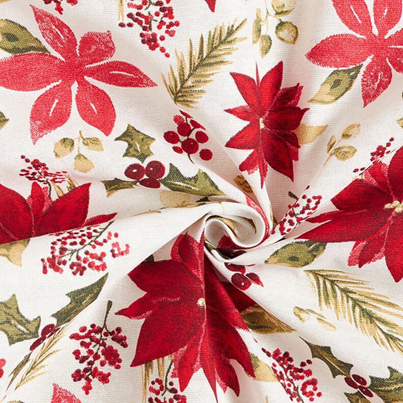 Tissu de décoration Canvas Fleurs d’étoile de Noël – écru/carmin,  image number 3