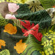 Tissu d’extérieur Canvas Plantes exotiques – vert foncé,  thumbnail number 2