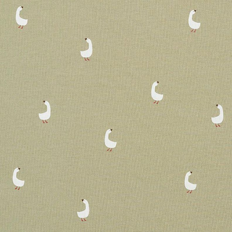 Jersey coton Jolies oies – pistache, image number 1