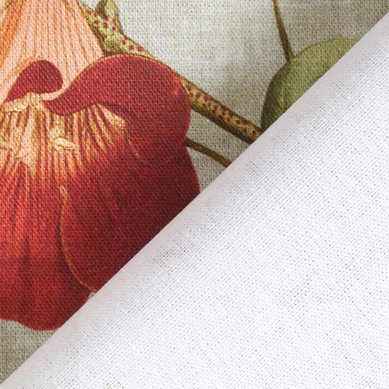 Tissu de décoration Toile Fleurs nostalgiques – roseau, image number 4