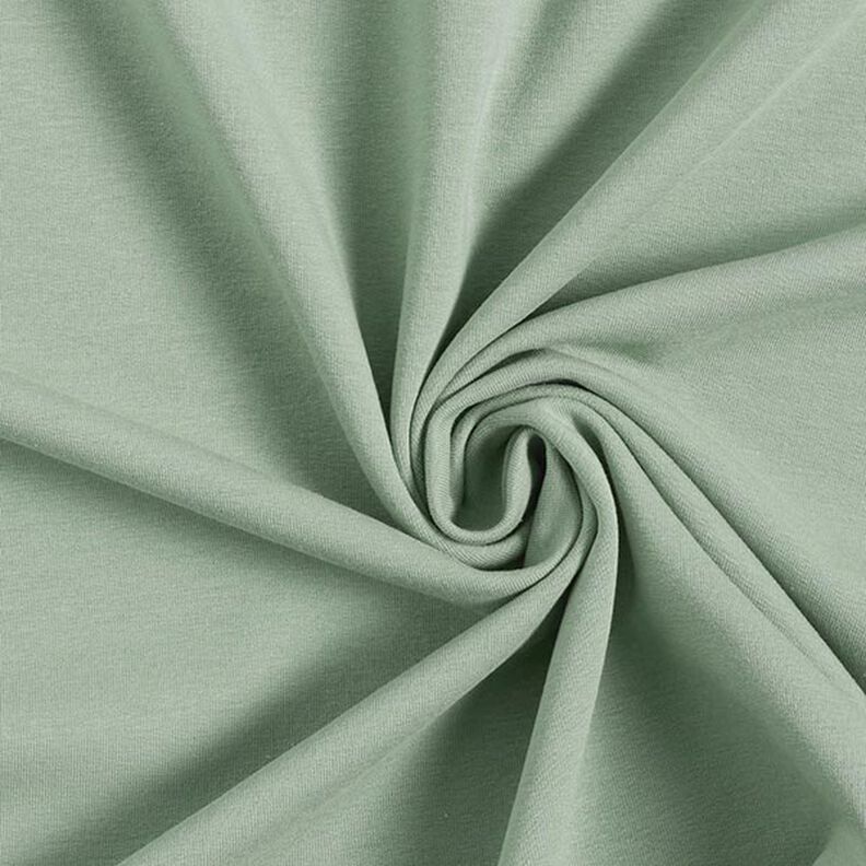 Molleton coton léger uni – roseau, image number 1