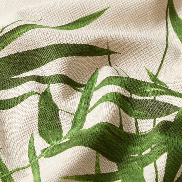 Semi-panama Aspect lin Feuilles – nature, image number 2