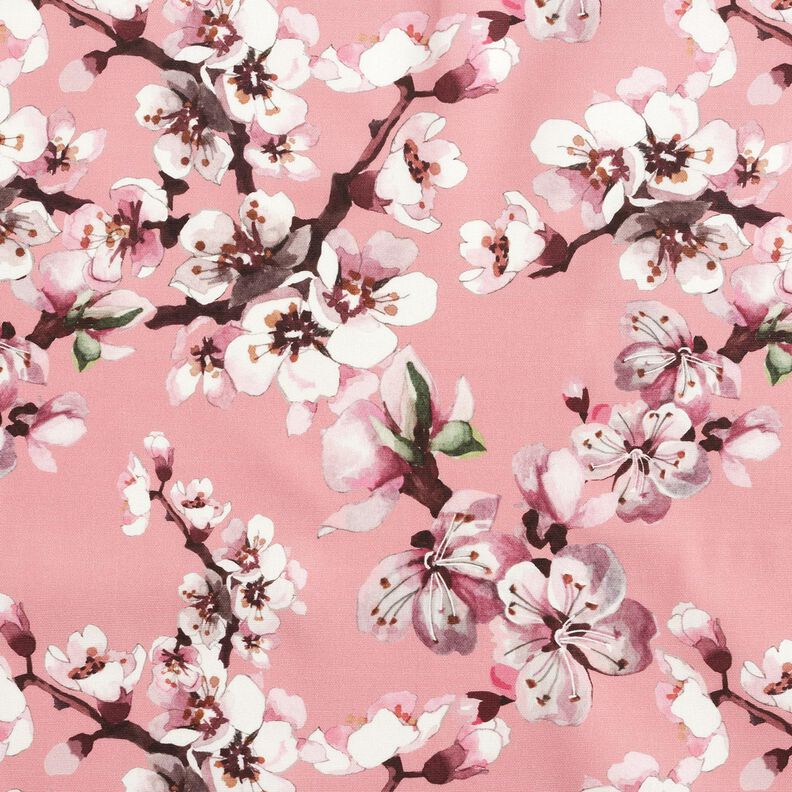 Tissu d’extérieur Canvas Fleurs de cerisier – rose clair,  image number 1