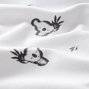 Jersey coton Petit koala – ivoire, 