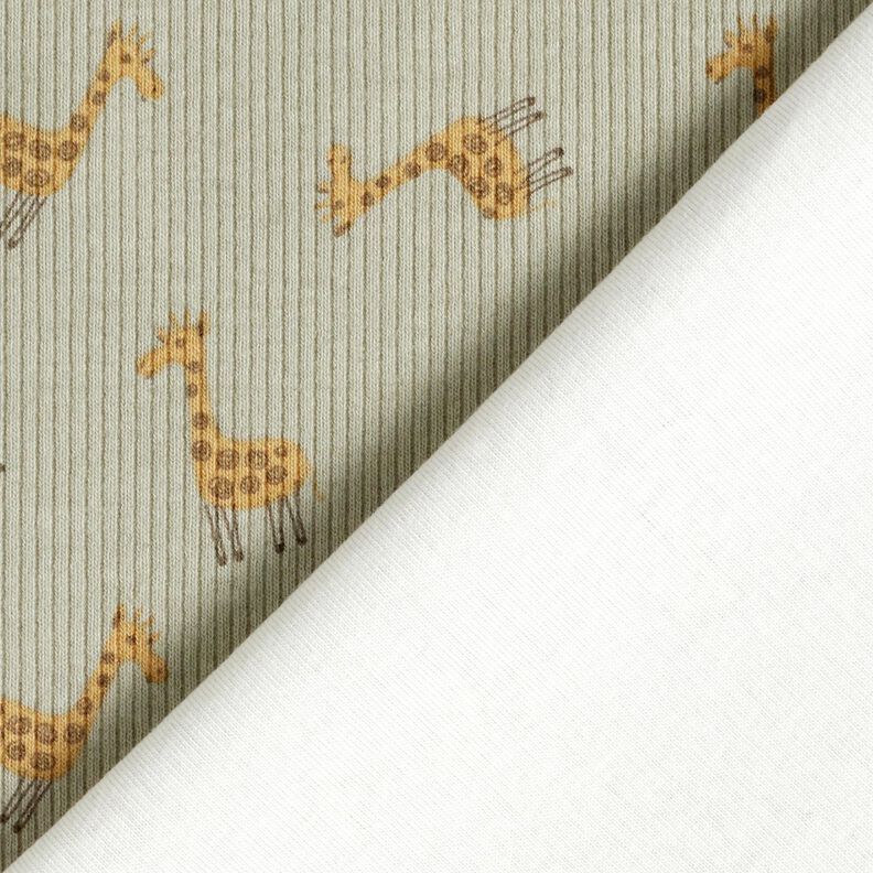 Jersey côtelé Jolies girafes – kaki,  image number 4