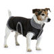 Manteau pour chiens, Burda 7752,  thumbnail number 2