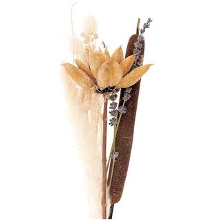 Set de fleurs séchées [ 30 cm ] | Rico Design – nature/orange, 