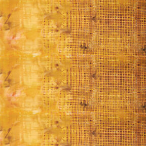 GOTS Batiste de coton Tissu bordure à carreaux avec dégradé de couleurs | TCC x LOOKS by Wolfgang, 