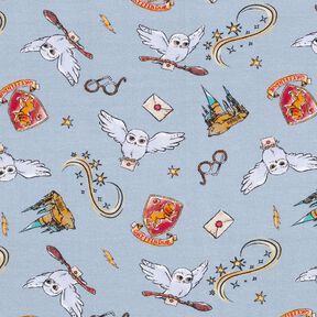 Jersey coton Le monde magique de Harry Potter | Warner Bros. – bleu clair, 