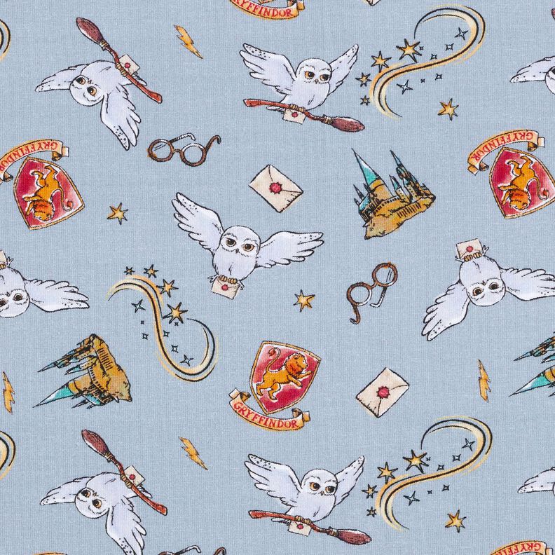Jersey coton Le monde magique de Harry Potter | Warner Bros. – bleu clair, image number 1