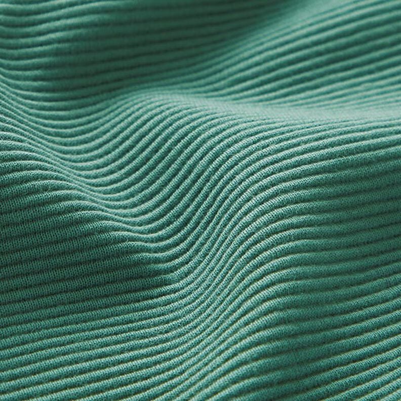 Jersey côtelé ottoman uni – roseau, image number 3