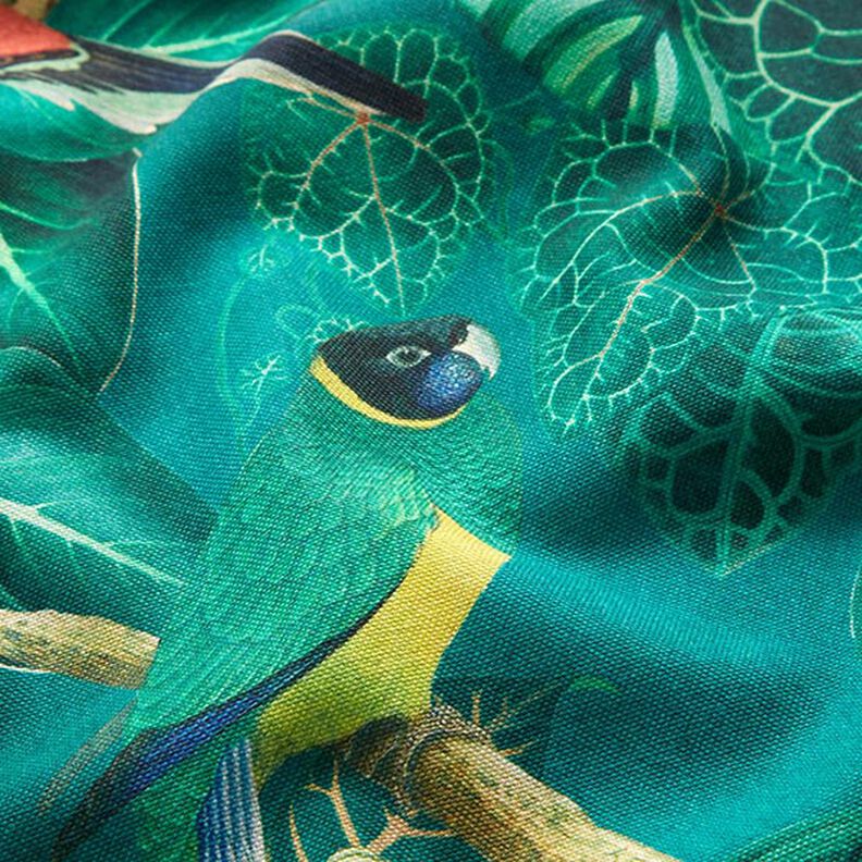 Tissu décoratif Toile Oiseaux du paradis – vert foncé,  image number 2