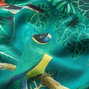Tissu décoratif Toile Oiseaux du paradis – vert foncé, 