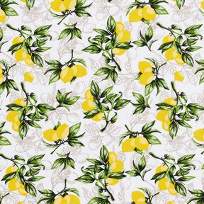 Tissu en coton Cretonne Branches de citronnier – blanc/jaune citron, 