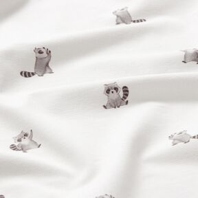 GOTS Jersey coton jolis ratons laveurs Impression numérique – ivoire, 