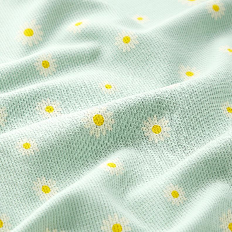Jersey gaufré marguerites – menthe clair, image number 2