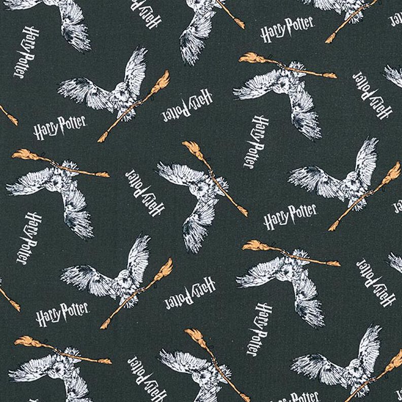 Jersey coton Tissu sous licence Harry Potter, Hedwige avec un balai | Warner Bros. – gris schiste,  image number 1