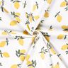 Jersey coton Gros citrons – ivoire/or,  thumbnail number 3