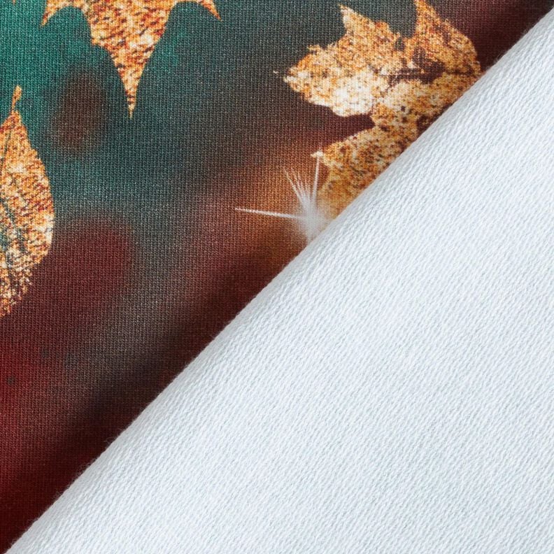 French Terry Sweat d’été Automne doré | Glitzerpüppi – sapin bleu/bordeaux,  image number 4