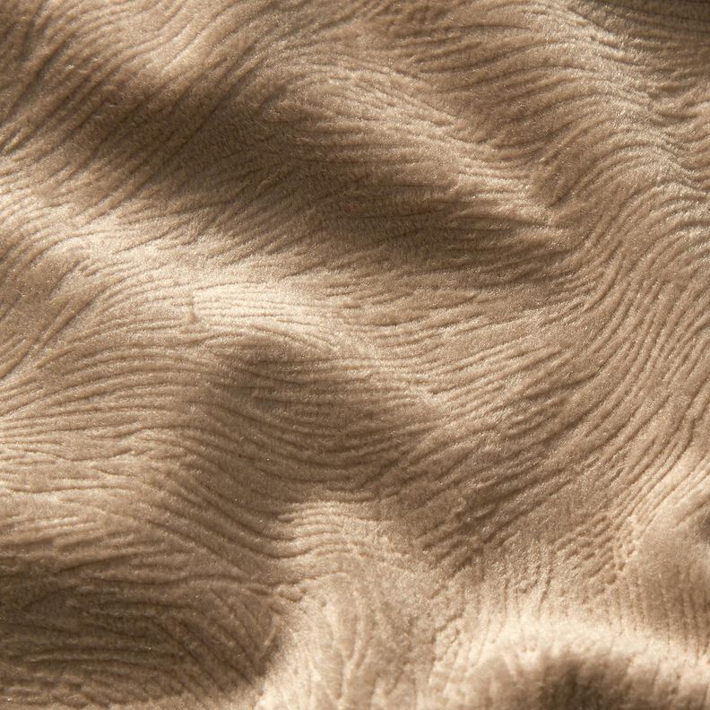 Velours de décoration Branches abstraites – noix de cajou,  image number 2