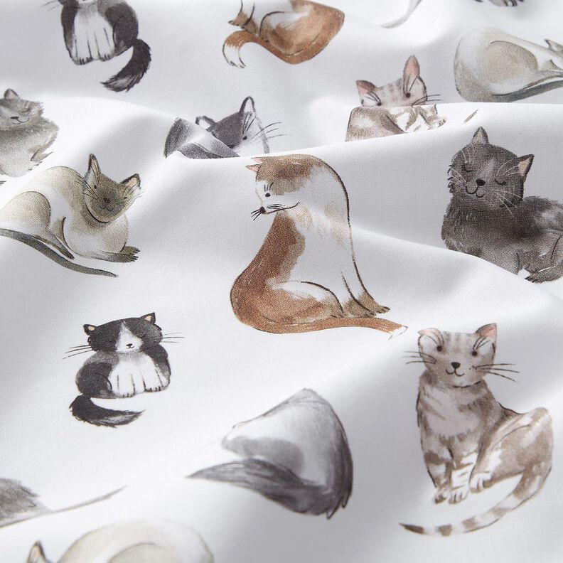 Popeline coton Chats heureux Impression numérique | Poppy Fabrics – blanc,  image number 2