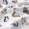 Popeline coton Chats heureux Impression numérique | Poppy Fabrics – blanc,  thumbnail number 2