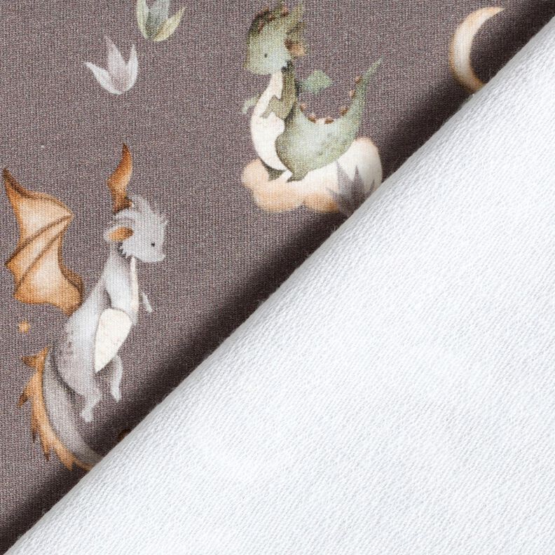 French Terry Sweat d’été jolis dragons Impression numérique – taupe foncé,  image number 4