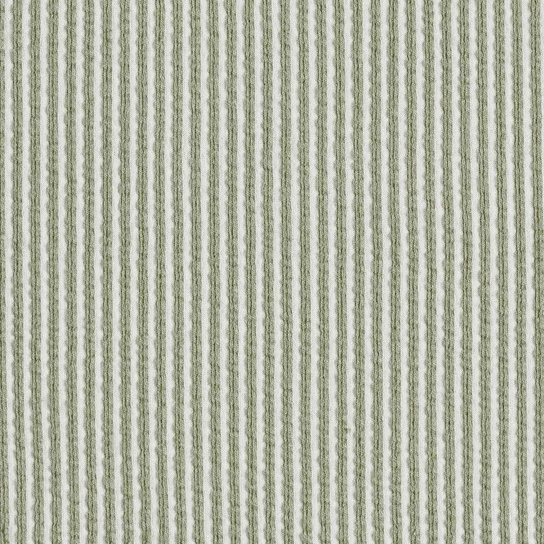 Jersey coton Seersucker Rayures fines – roseau/blanc,  image number 1