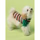 Robe pour chiens, KwikSew 4152,  thumbnail number 8