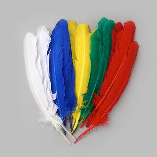 Mélange de plumes [20 Stk.], 
