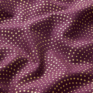 Tissu en coton Popeline Arcs d’étoiles – aubergine/or, 