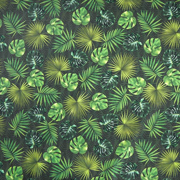 Tissu d’extérieur Canvas Feuilles de palmier – olive,  image number 1