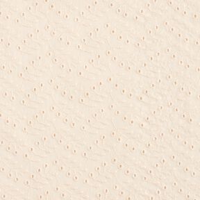 Batiste Dentelle brodée Vrilles de feuilles – crème, 