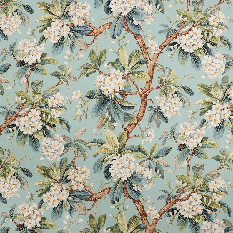 Tissu de décoration Canvas Arbre en fleurs – eucalyptus,  image number 1