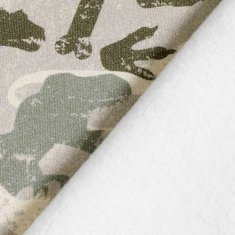 Sweatshirt gratté Dinosaures camouflage Chiné – taupe clair/roseau,  image number 4