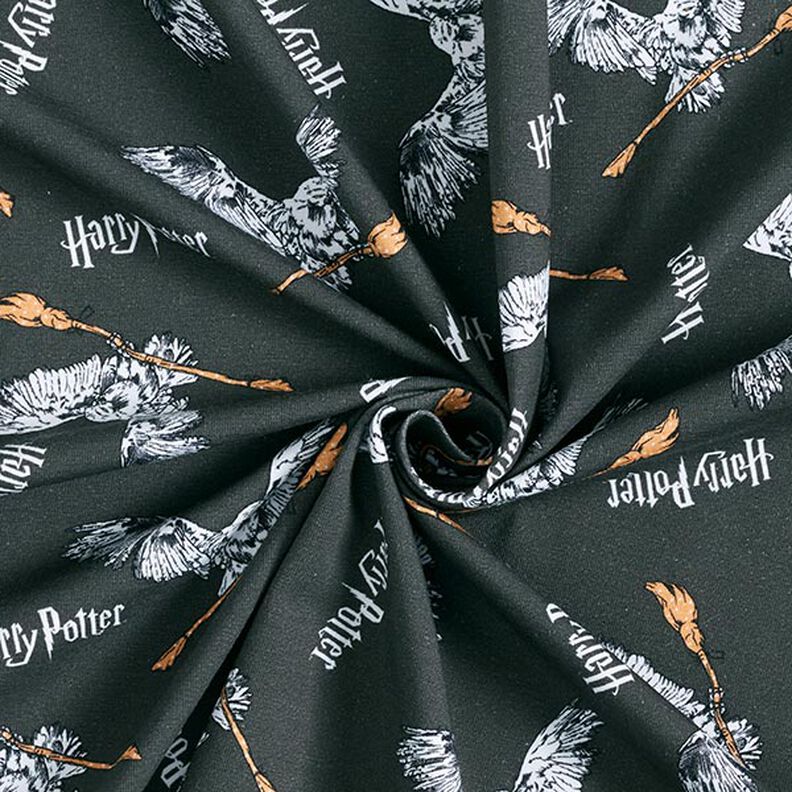 Jersey coton Tissu sous licence Harry Potter, Hedwige avec un balai | Warner Bros. – gris schiste,  image number 3