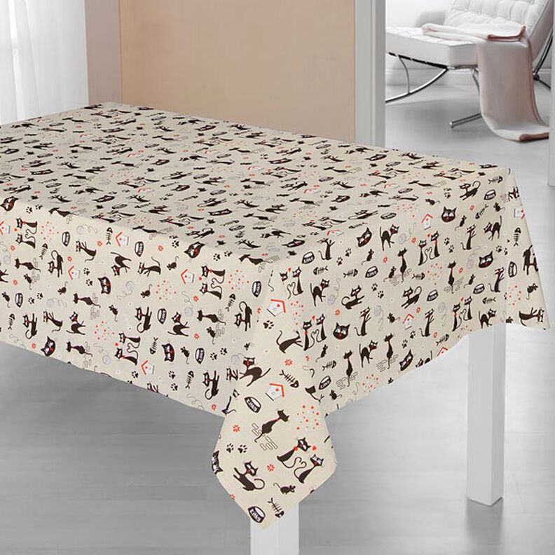 Kitty Kat, image number 6