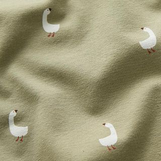 Jersey coton Jolies oies – pistache, 