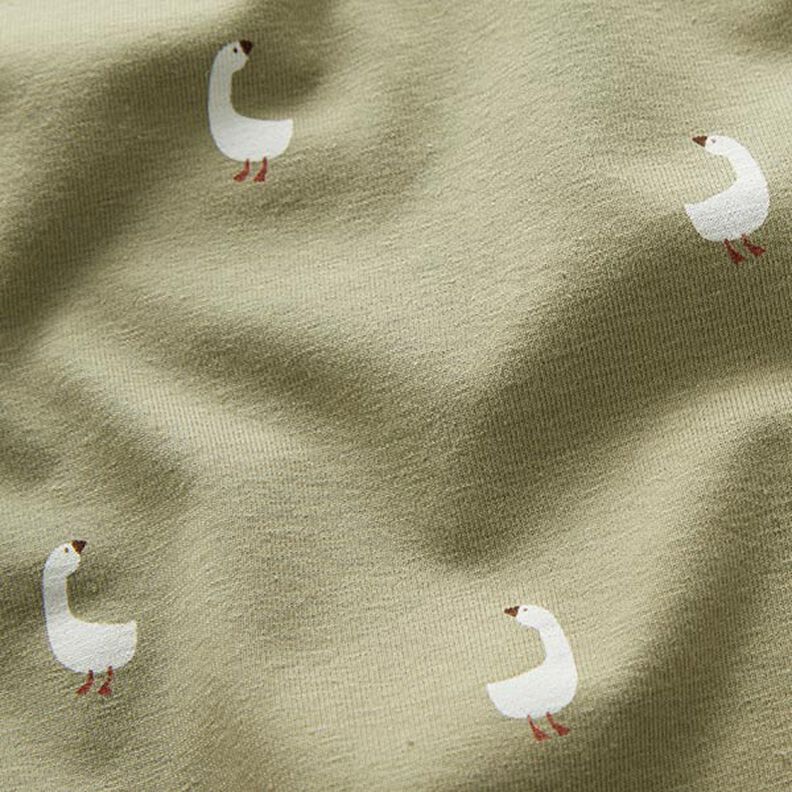 Jersey coton Jolies oies – pistache, image number 2