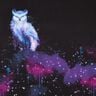 Jersey coton Papillon nocturne Panel | Glitzerpüppi – noir/raisin,  thumbnail number 1