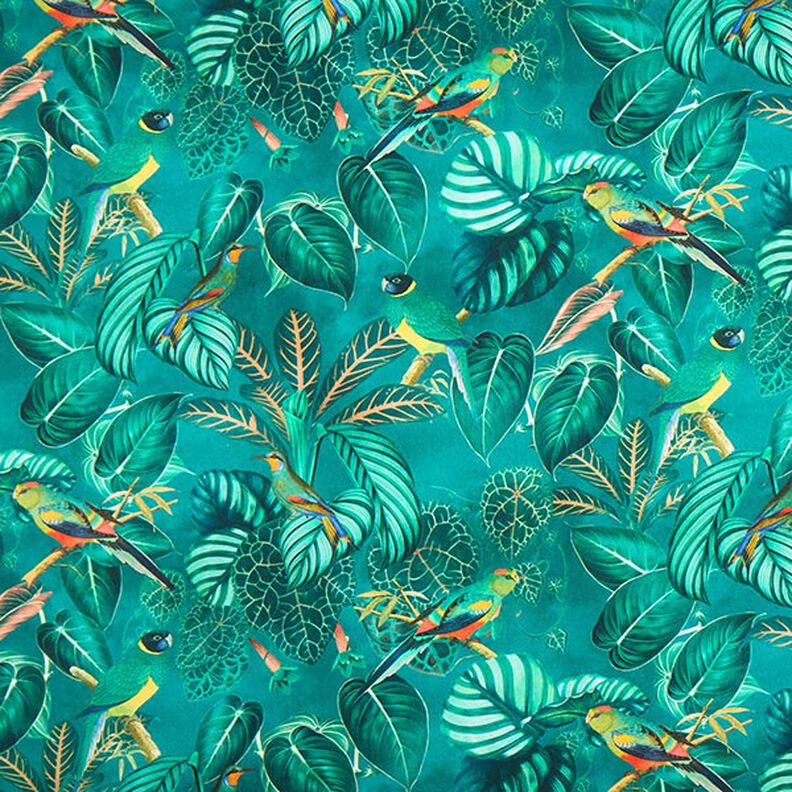 Tissu décoratif Toile Oiseaux du paradis – vert foncé,  image number 1