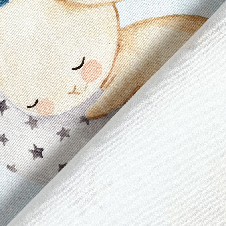 Tissu de décoration Sergé coton Lapin au pays des rêves Impression numérique – bleu bébé/bleu jean, image number 4