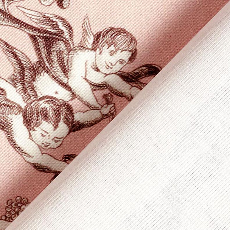 Tissu de décoration Canvas Antiquités 280 cm – rose clair/marron,  image number 4