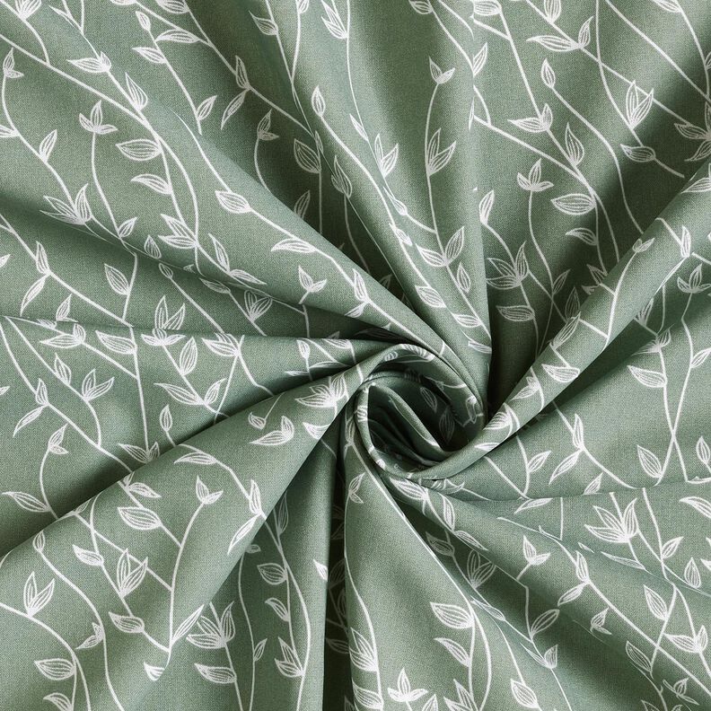 Popeline coton Vrilles de feuilles – roseau, image number 3