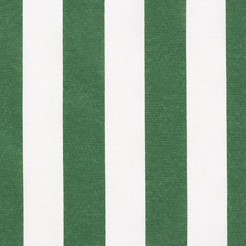 Tissu de décoration Canvas Rayures – vert/blanc,  image number 1
