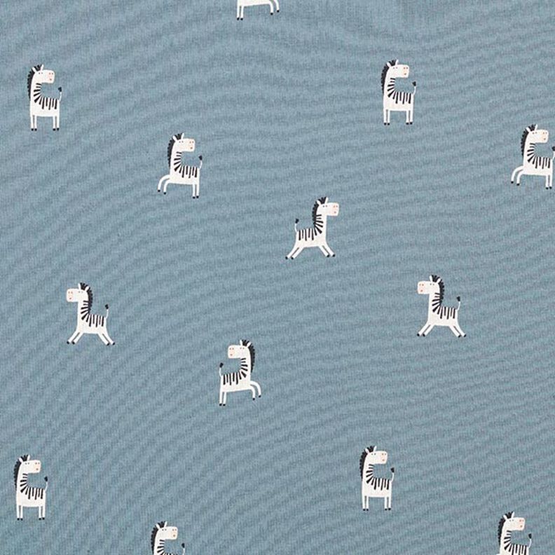 Jersey coton Zèbre espiègle – gris bleu,  image number 1