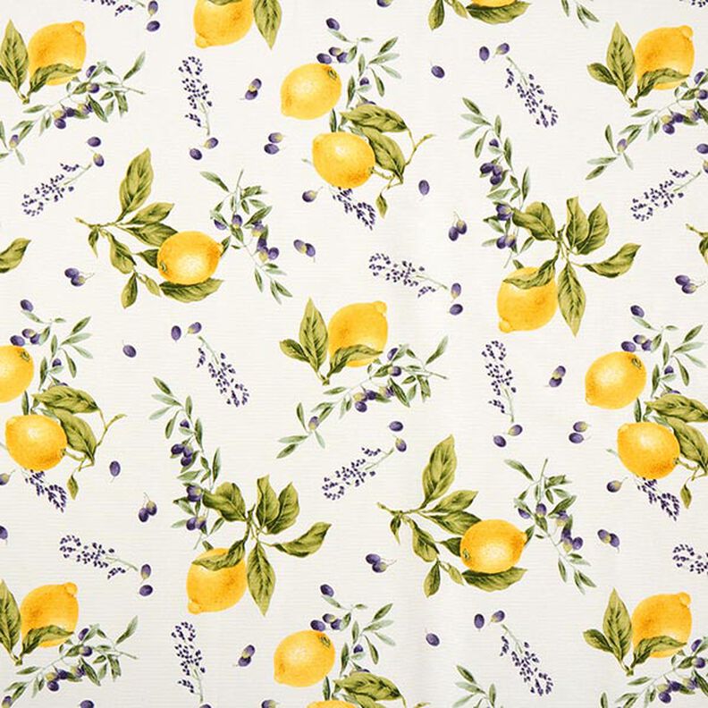 Tissu de décoration Canvas Citrons – jaune,  image number 1