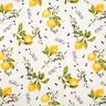 Tissu de décoration Canvas Citrons – jaune,  thumbnail number 1