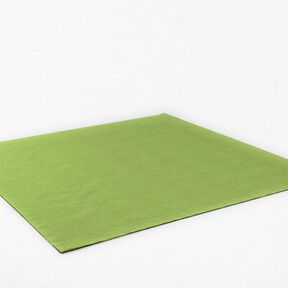 Feutrine 90 cm / épaisseur de 3 mm – olive clair, 